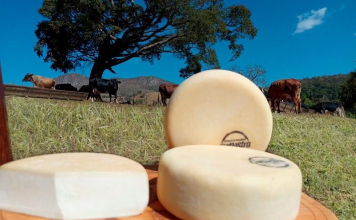 Queijo Minas Artesanal produzido na Canastra é apontado como o melhor do mundo Queijo Minas Artesanal produzido na Canastra é apontado como o melhor do mundo
