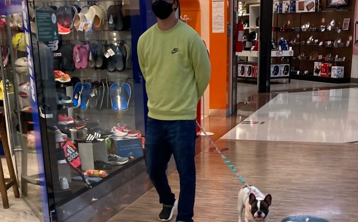 Shopping Uberaba abre portas para pets de pequeno porte Shopping Uberaba abre portas para pets de pequeno porte