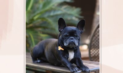 Coluna Social Marise Romano 04-10-2024