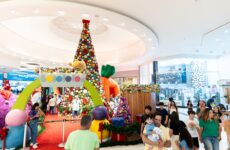 Shopping Uberaba traz turma Bolofofos