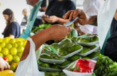 Prefeitura contempla agricultores familiares com kits de irrigação