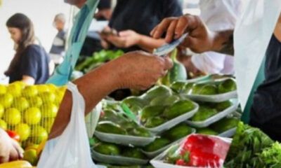 Prefeitura contempla agricultores familiares com kits de irrigação
