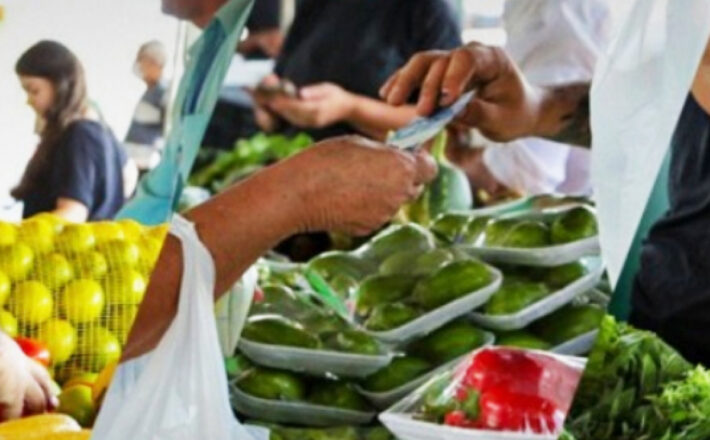 Prefeitura contempla agricultores familiares com kits de irrigação Prefeitura contempla agricultores familiares com kits de irrigação
