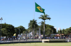 Prefeitura e parceiros lançam, na próxima semana, o Programa Uberaba + Genética