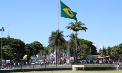 Prefeitura e parceiros lançam, na próxima semana, o Programa Uberaba + Genética