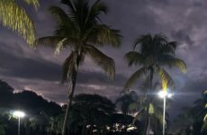 Uirapuru celebra Dia da Mulher