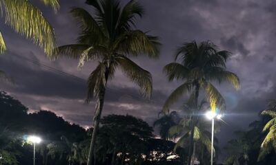 Uirapuru celebra Dia da Mulher