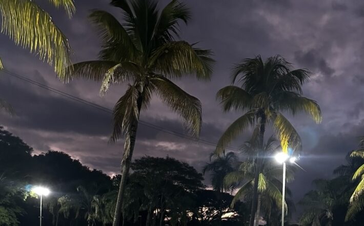 Uirapuru celebra Dia da Mulher