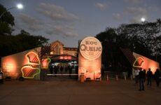 ExpoQueijo abre inscrições para concurso que projeta o Brasil no cenário internacional do queijo