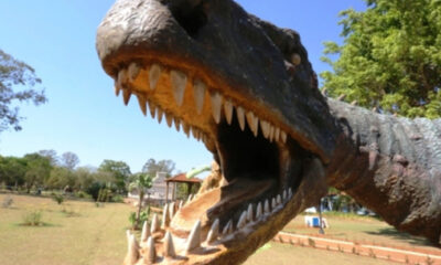 Festival de Inverno de Peirópolis: Caps Inácio Ferreira marca presença na Feira de Artes, Artesanato e Manualidades