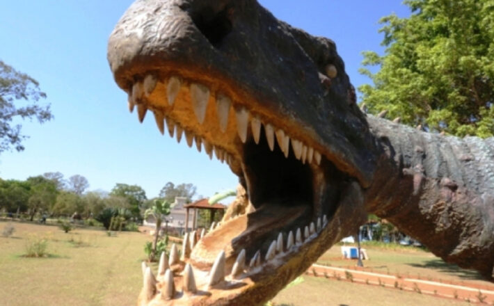 Festival de Inverno de Peirópolis: Caps Inácio Ferreira marca presença na Feira de Artes, Artesanato e Manualidades Festival de Inverno de Peirópolis: Caps Inácio Ferreira marca presença na Feira de Artes, Artesanato e Manualidades