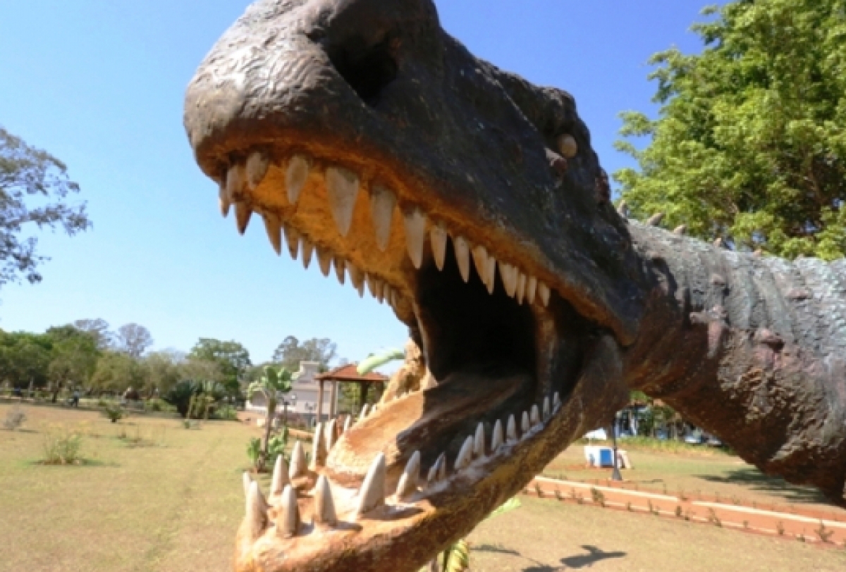 Festival de Inverno de Peirópolis: Caps Inácio Ferreira marca presença na Feira de Artes, Artesanato e Manualidades
